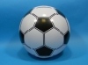 �T�b�J�[�r�[�`�{�[��
