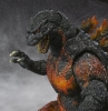 yƒoƒ“ƒ_ƒCzS.H.MonsterArts ƒSƒWƒ‰i1995j “Á“T“¯«
