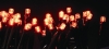 (Pro仕様高品質大量購入用特価)LED100球16IC付タイプ(アンバー)PRO-W-LED16IC100EGA(防滴型/緑コード/連結コネクター付/16パターン点滅)