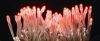 (Pro仕様高品質大量購入用特価)LED100球16IC付タイプ(赤)PRO-W-LED16IC100ECR(防滴型/スケルトンコード/連結コネクター付/16パターン点滅)