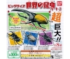 【バンダイ】300円カプセルビッグサイズ　世界の昆虫　パート２